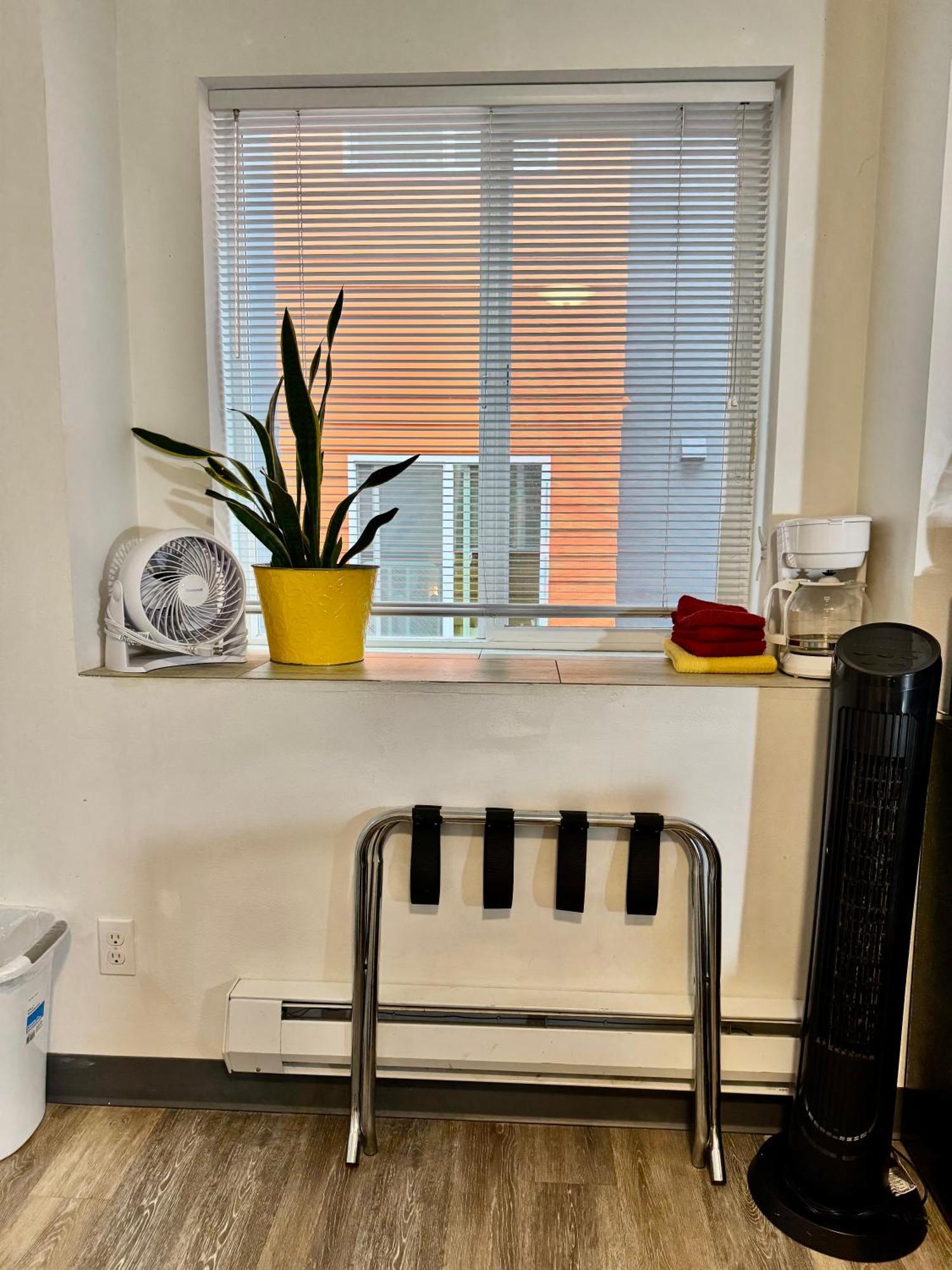 Micro Studio Apartment 10 Minutes Walk To University Of Washington Seattle Exteriör bild